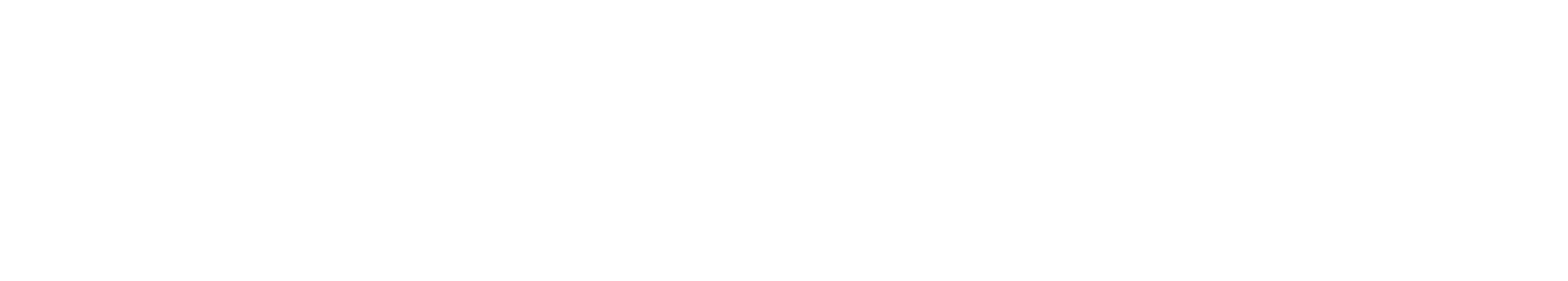Cold Ice Inc