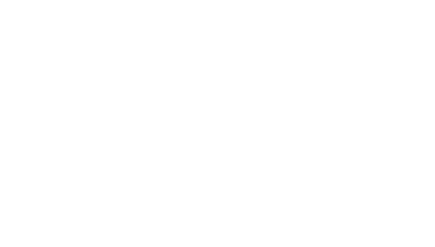 Cold Ice Inc