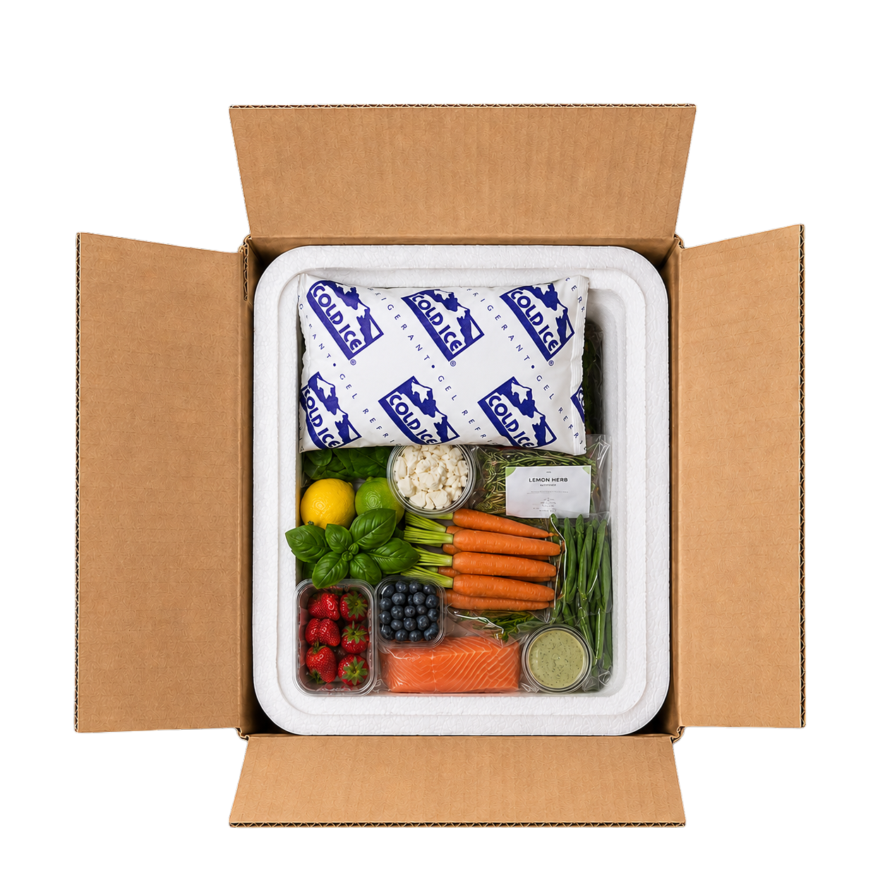 Cold Ice insulated cold chain shipping container filled with fresh produce and refrigerant packs.