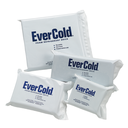 A collection of four white, rectangular EverCold foam refrigerant bricks arranged on a transparent background, displaying the blue branding and layout across multiple product sizes.